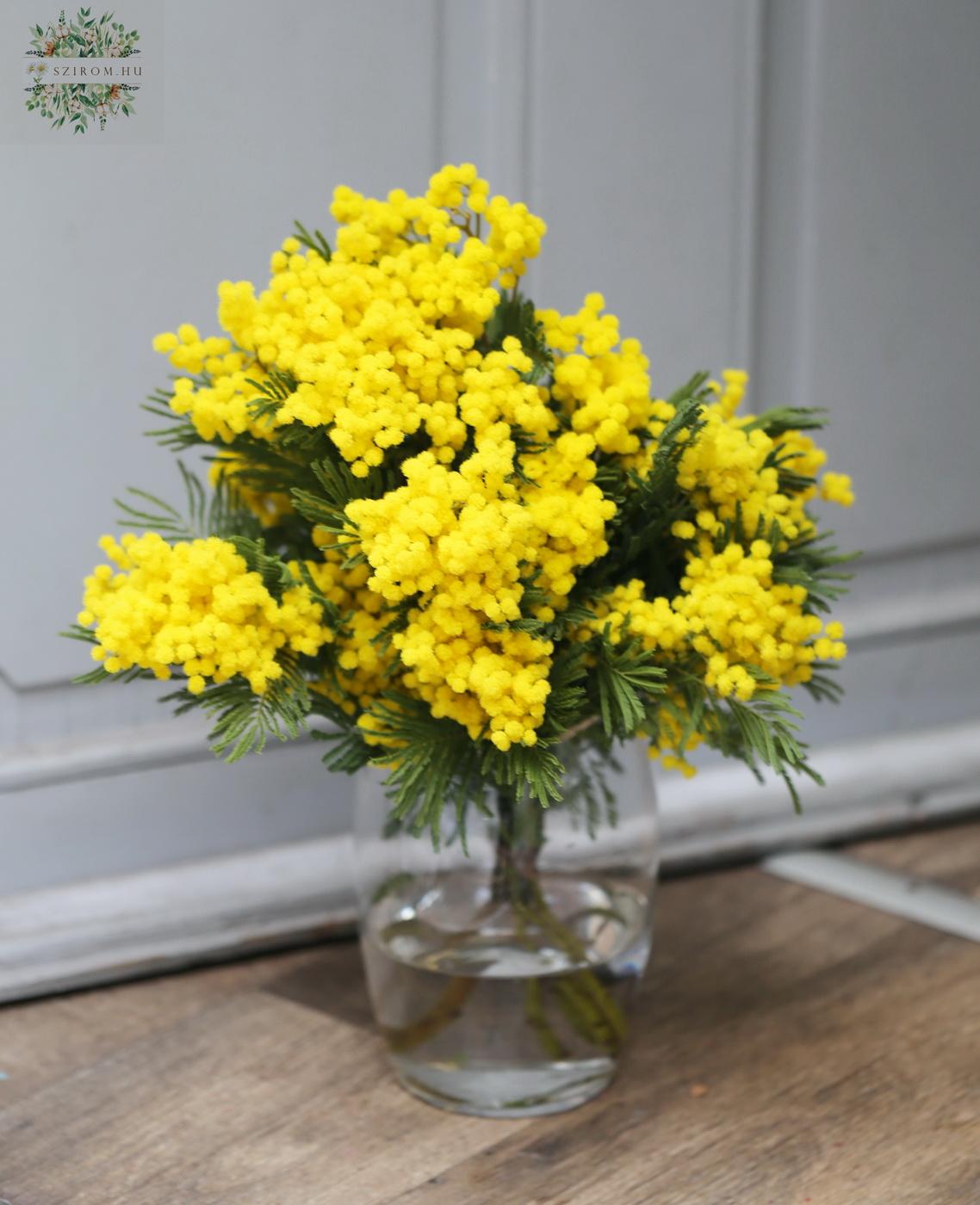 Blumenlieferung nach Budapest - Mimosen in Vase (5St)