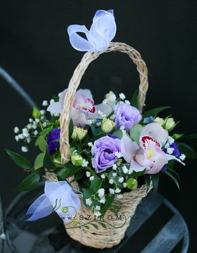 Virágküldés Budapest - orchidea kosárka liziantusszal (17cm, 7 szál)