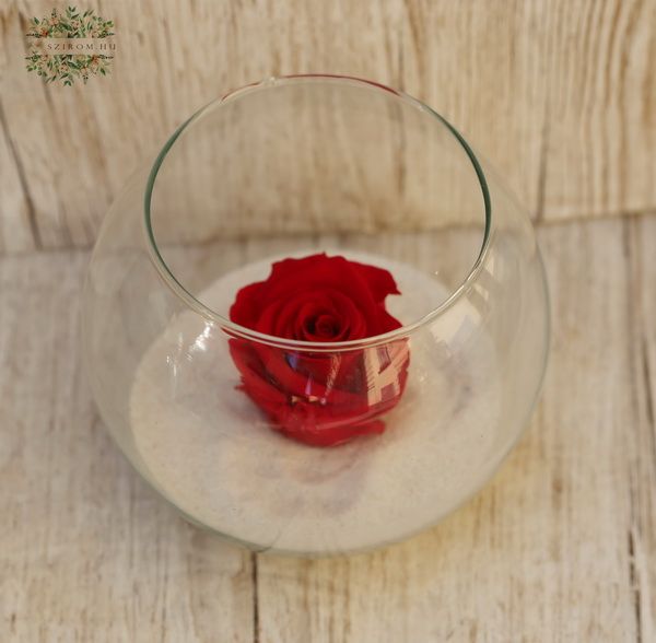 flower delivery Budapest - infinity rose red (preserved), in glass ball