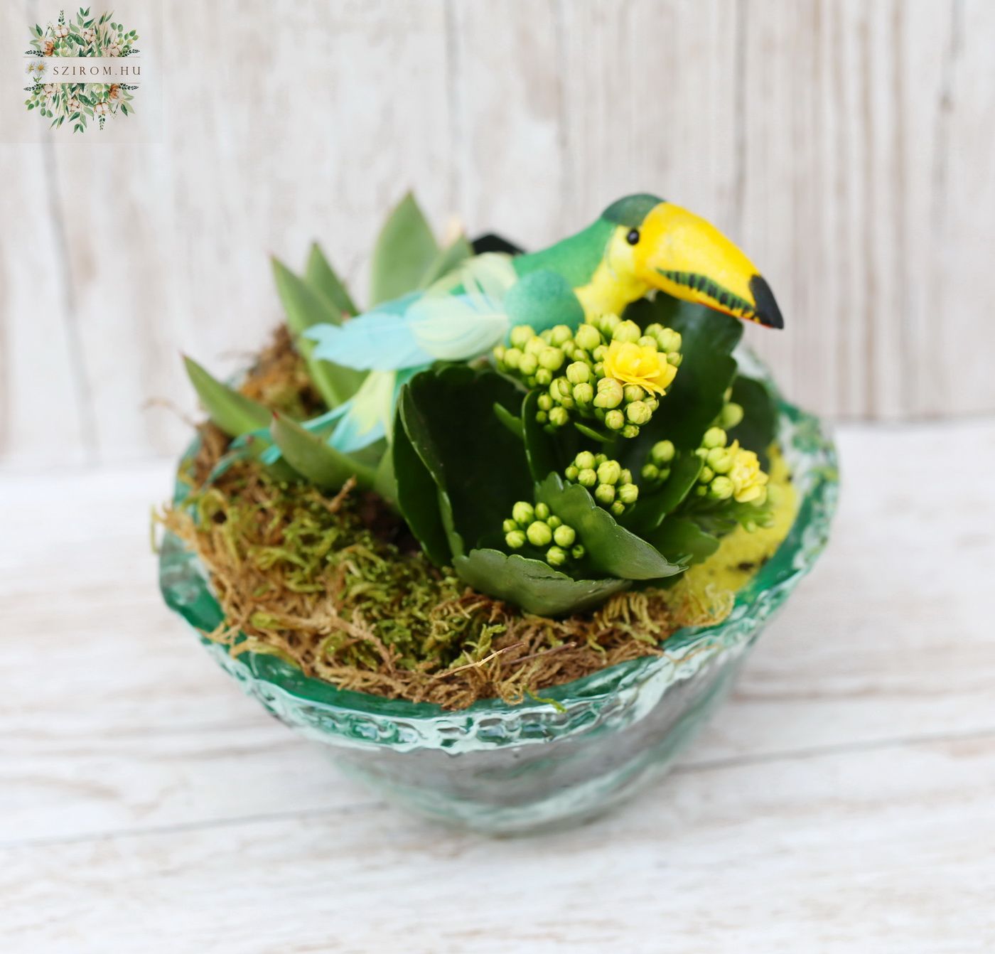 Blumenlieferung nach Budapest - Pflanzenarrangement, Echeverie, Kalanchoe, Perrot im Rustikaglas, 15cm