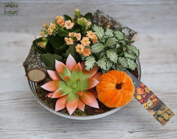 Blumenlieferung nach Budapest - Herbstkomposition