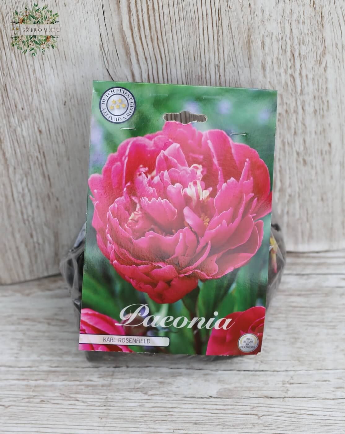 Virágküldés Budapest -  Paeonia Karl Rosenfield