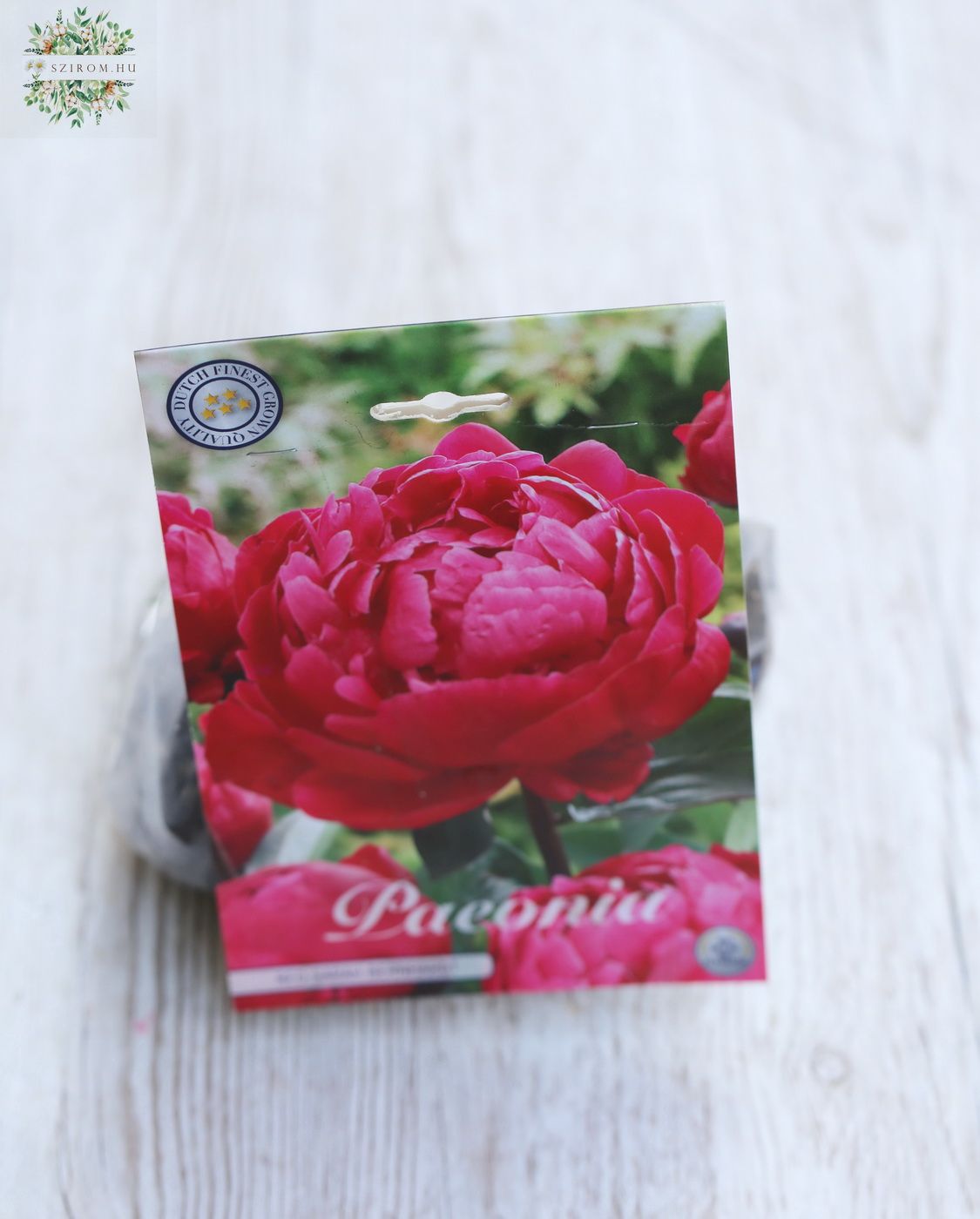 flower delivery Budapest - Peony tuber
