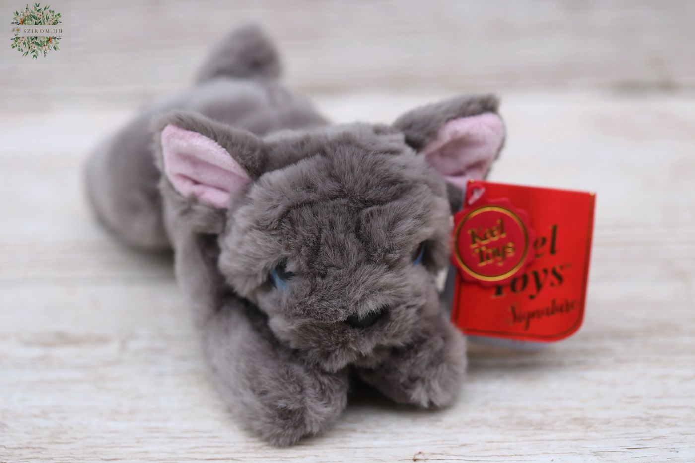 flower delivery Budapest - Plush frenchii (25cm)