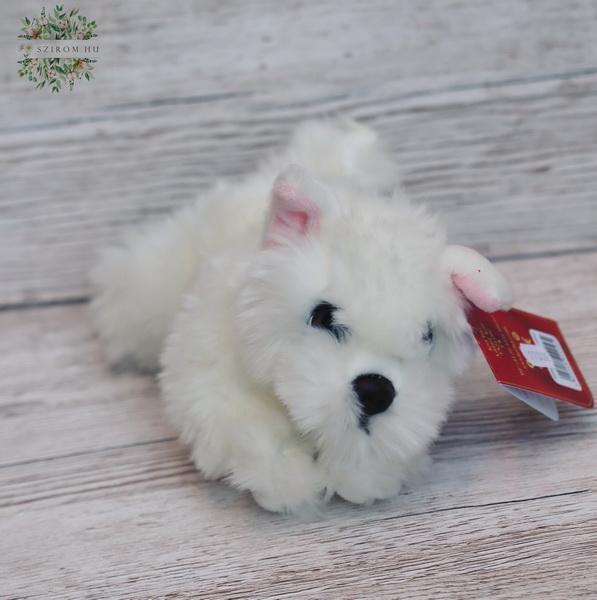 Blumenlieferung nach Budapest - Plüsch Hund Westie 25cm