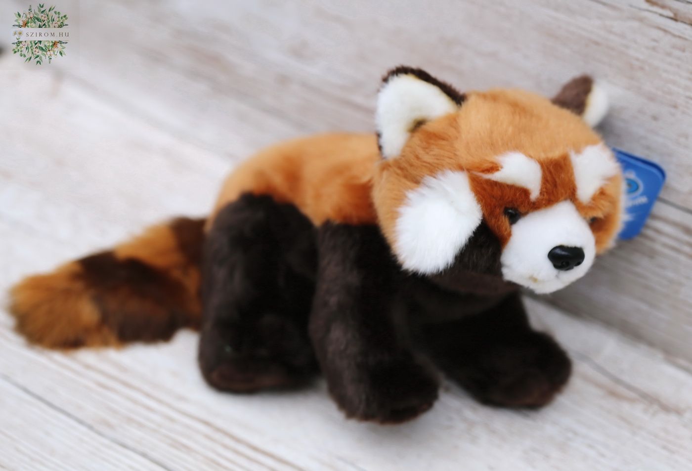 flower delivery Budapest - Plush red panda (23cm)