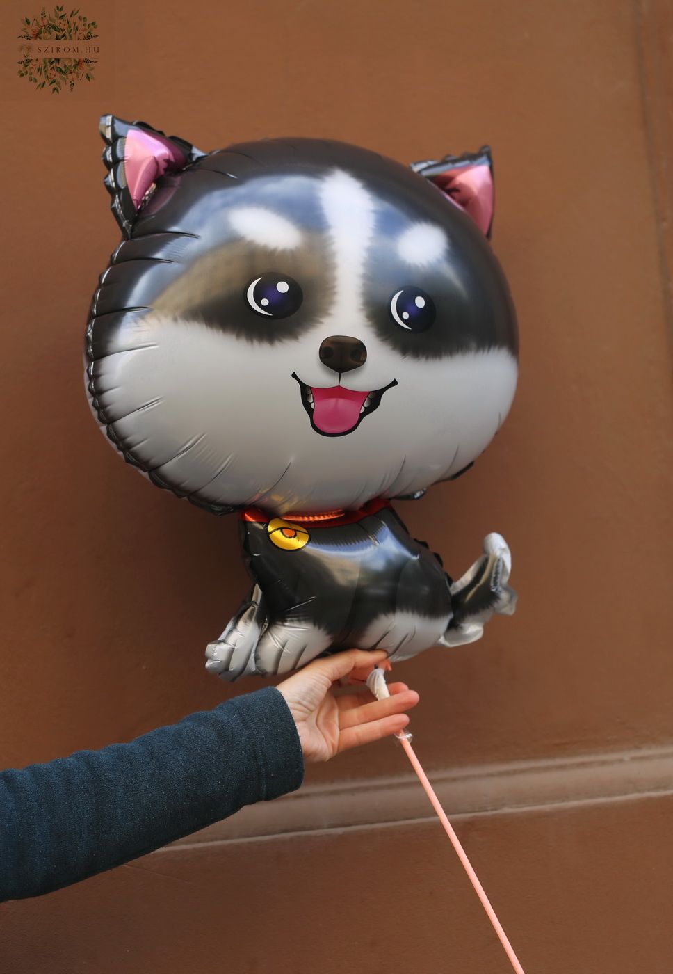 Blumenlieferung nach Budapest - Pomeranian Ballon