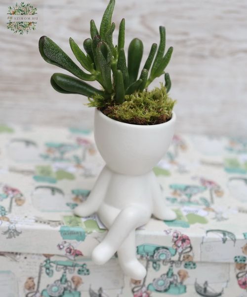 flower delivery Budapest - Succulent in ceramic figure 15 cm
