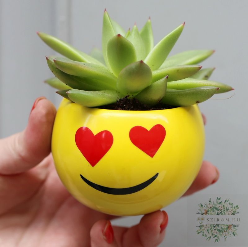 Blumenlieferung nach Budapest - Sukkulente im Smile-Topf mit Herz-Augen (10 cm)