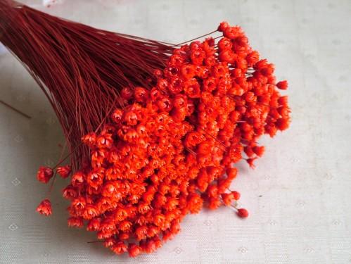 flower delivery Budapest - dried flowers (1 pack)