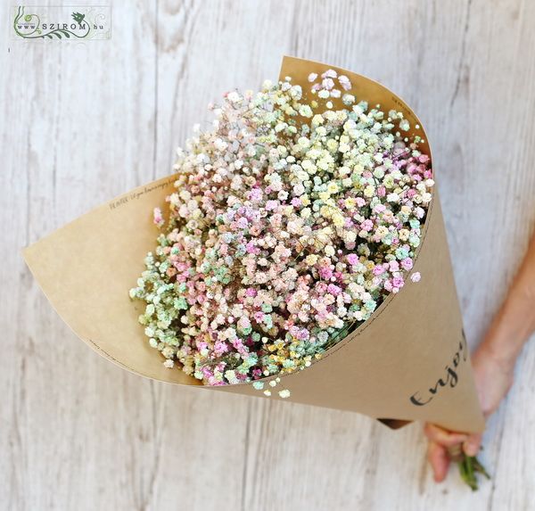 Blumenlieferung nach Budapest - Regenbogen Gypsophila in Kraftpapier (8 Stiele)