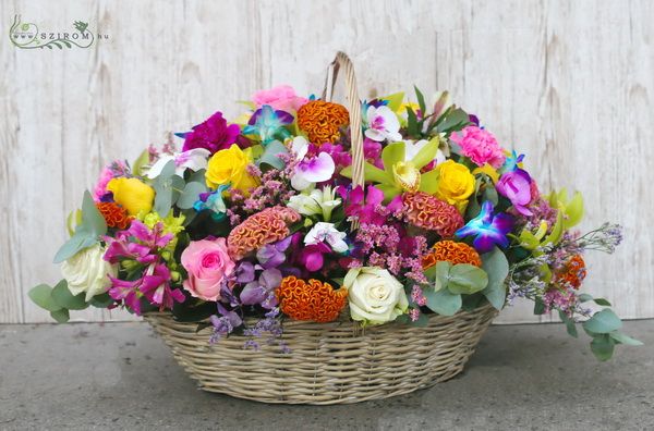 Blumenlieferung nach Budapest - Regenbogen Blumenkorb mit Orchideen (63 Stiele)