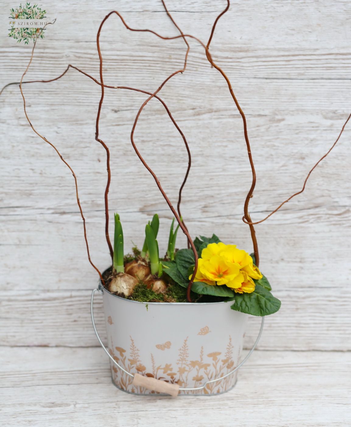 flower delivery Budapest - Spring plants with branches