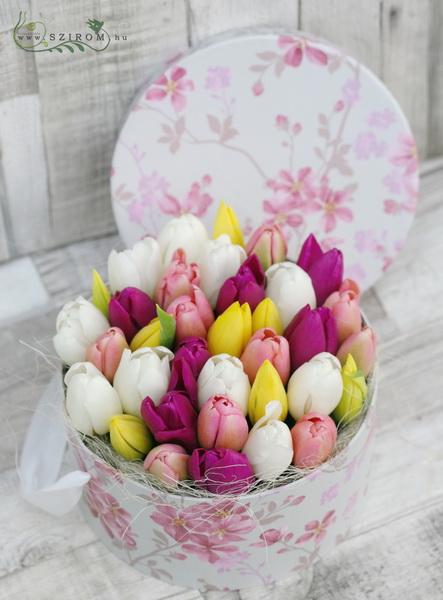 flower delivery Budapest - Tulip box (35 stems)