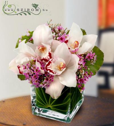 flower delivery Budapest - glass cube with orchids