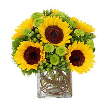flower delivery Budapest - cube with 6 sunflowers and green buttons