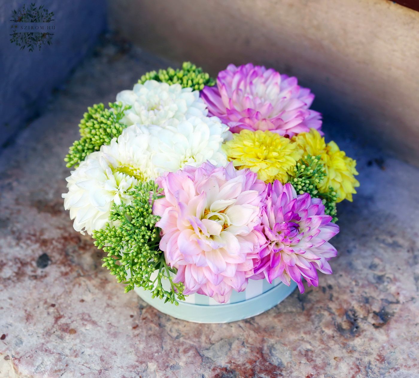 Blumenlieferung nach Budapest - Blumenbox mit bunte sommerliche Dahlien