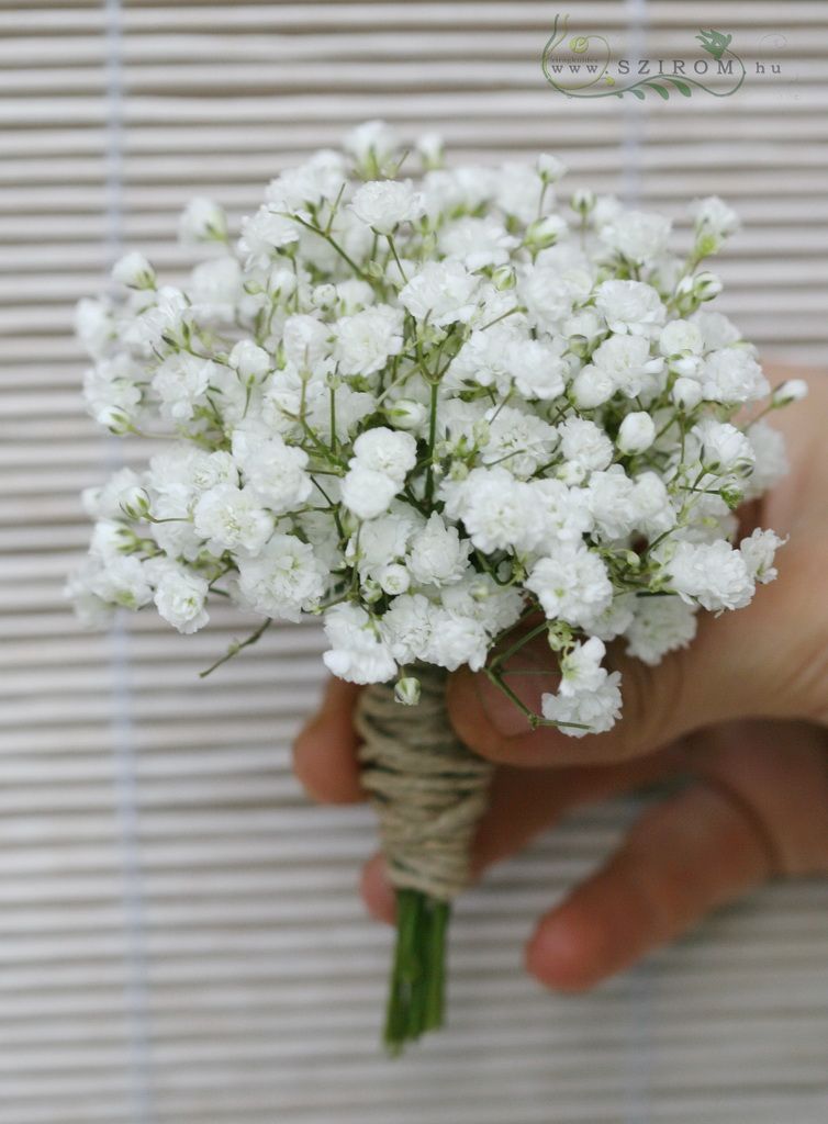 flower delivery Budapest - Boutonniere of gypsophila (white)