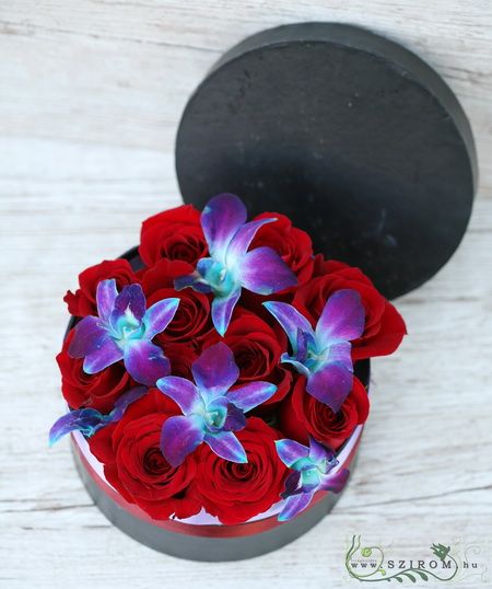 Blumenlieferung nach Budapest - Rote Rosen und blaue Dendrobium Orchidee in Schachtel (11 Rosen Box)