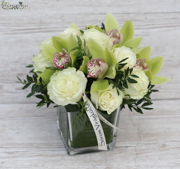 Blumenlieferung nach Budapest - Grüne Orchidee mit weißen Rosen in Glaskubus (15 Stämme)