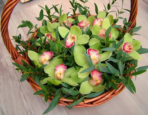 Blumenlieferung nach Budapest - grün Orchideenkorb (30cm)