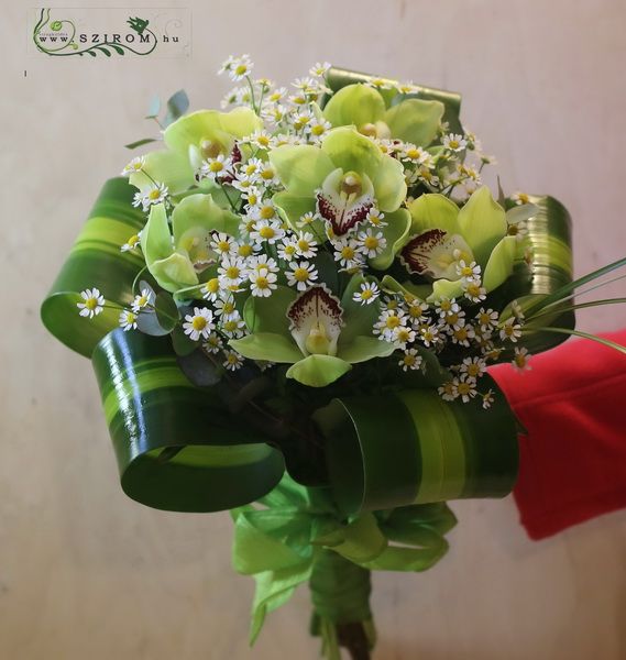Blumenlieferung nach Budapest - Grüne Orchideen mit Kamille (11 Stängel)