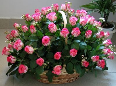 60 rosa Rosen in einem Korb (70 cm)