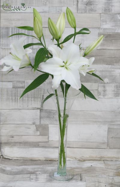 White Lilies in vase, wedding