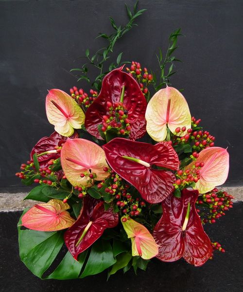 a centrepiece of 11 flamingo flowers and 10 hypericum berries