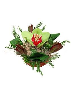 orchid basket (one head)