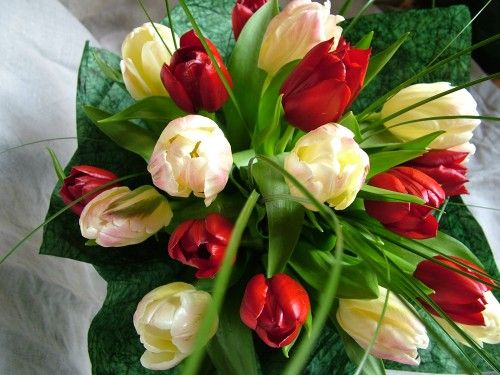 20 tulips in a round bouquet