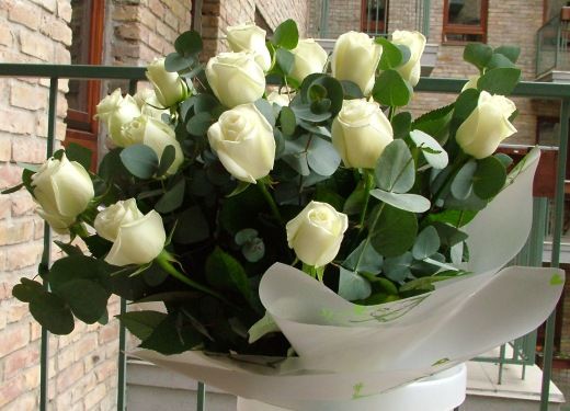 20 white roses with eucalipthus