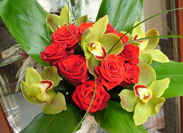 premium red roses with green orchids  (15 stems)