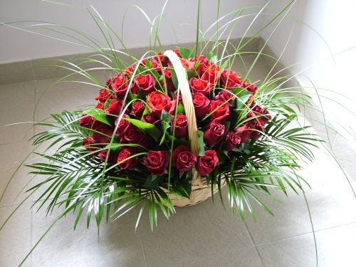 60 stems of red roses placed tightly in a basket