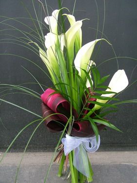 bouquet of 10 white callas (50 cm)