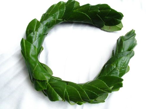 bay head wreath