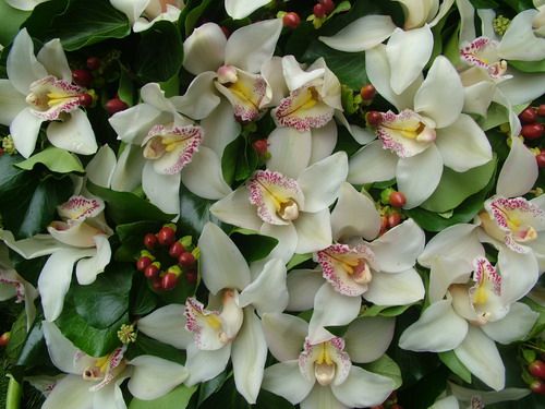 big standing wreath with callas, orchids and hypericums (1m)