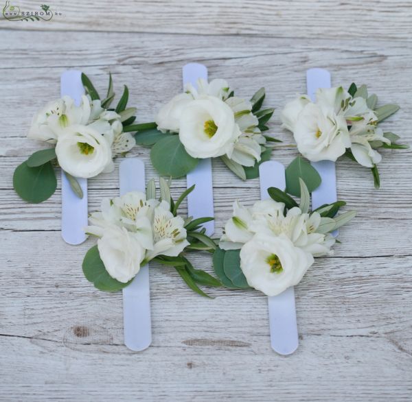 Ansteckblume