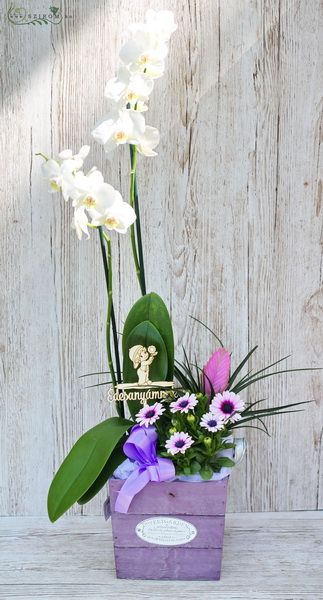 Mutter Tag Topfpflanze Bogen mit Orchidee