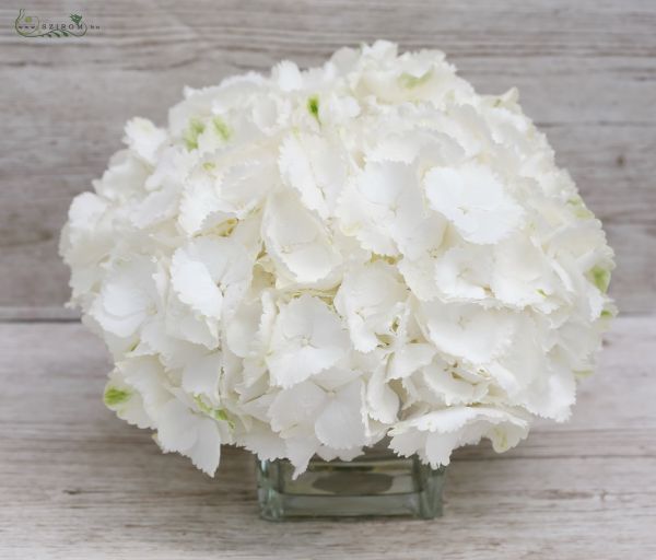 Wedding centerpiece white hydrangea in glass ball
