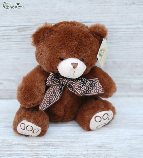 Plüsch Teddy 20cm
