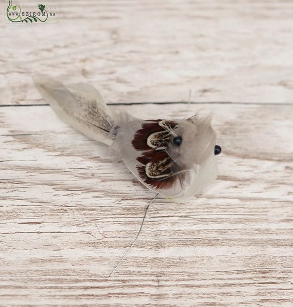 Grauer Vogel