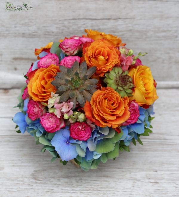 Centerpiece (rose, sprayrose, hydrangea, sempervivum, blue, orange, pink)