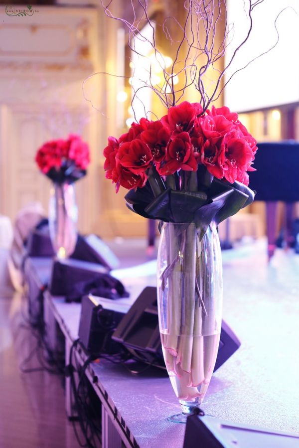 Event decor with red amaryllis, Corinthia Budapest