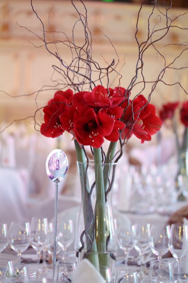 Event decor with red amaryllis, Corinthia Budapest