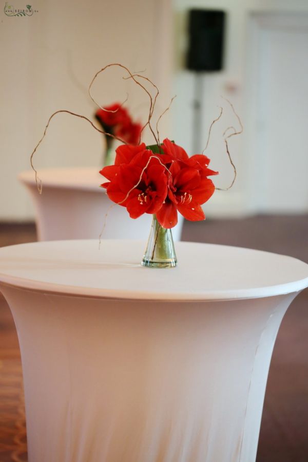 Event decor with red amaryllis, Corinthia Budapest