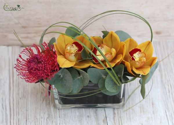 Modern centerpiece with orange cymbidiums, pincushion proteas