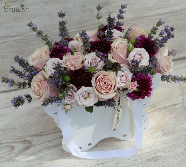 Lavendel in schmetterlingsförmiger Box (20 St)