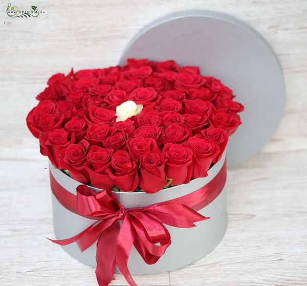  38/5000 50 Rosen im Kasten, alle rot, einzelne weiße