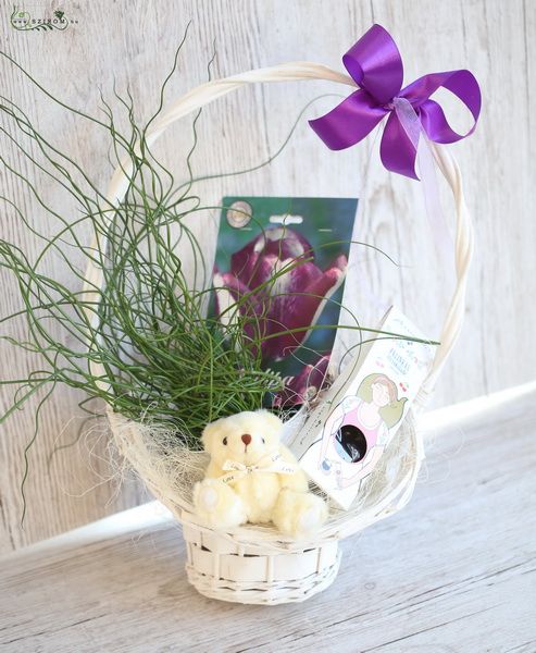  Gewundenes Gras, Teddybär, Schokolade, Tulpenzwiebeln im Korb